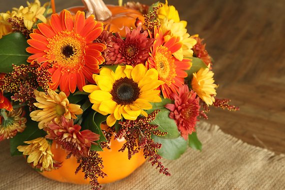 DESIGNERS CHOICE TELEFLORA PUMPKIN KEEPSAKE